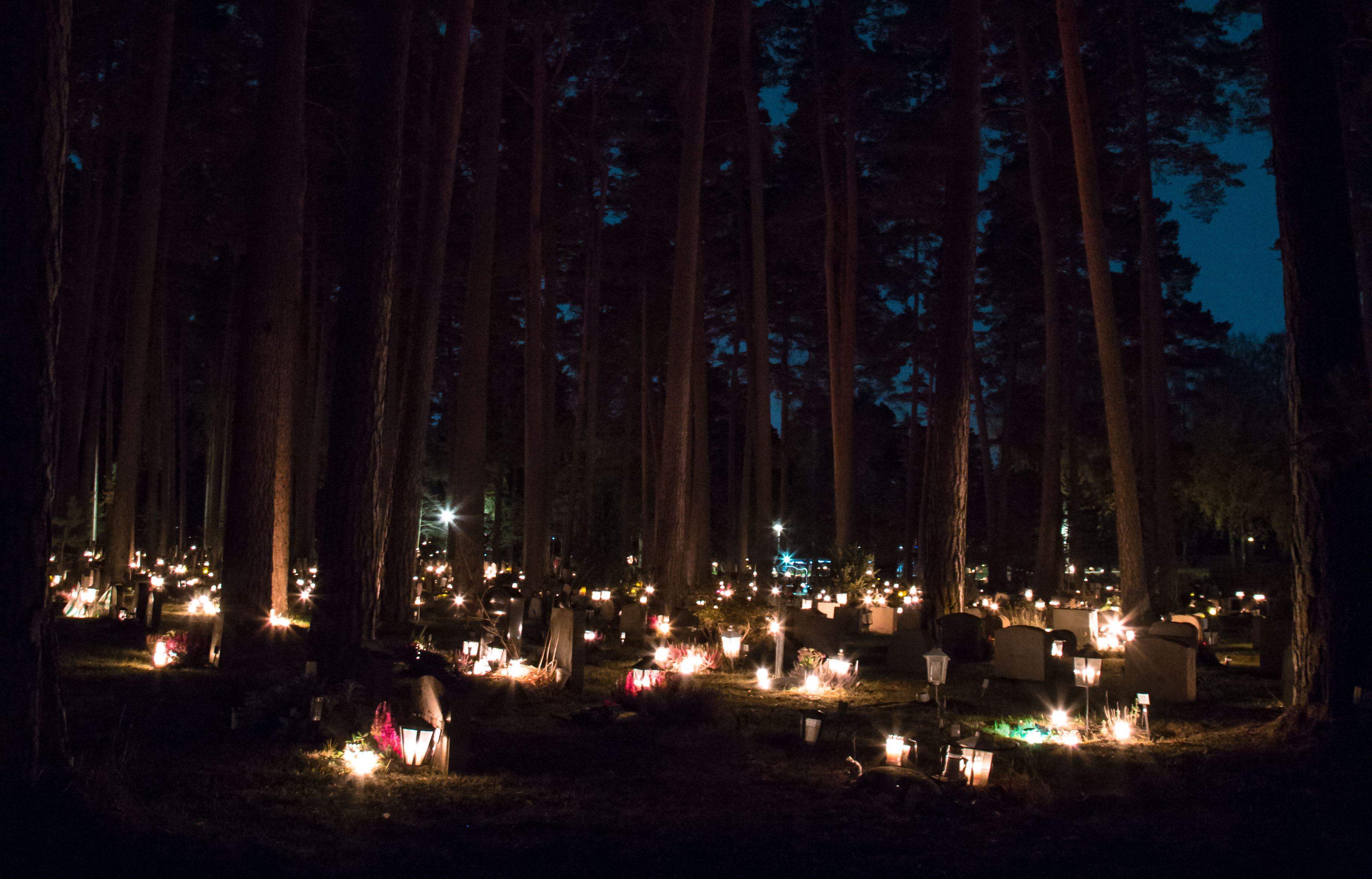 Skogskyrkogården on alla helgons dag